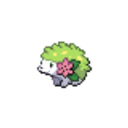 492 Shaymin Land icon